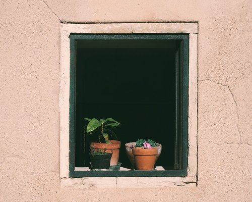 A glass of water next to a potted plant near an open window